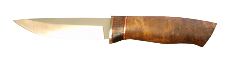 Le Tarin des Aulnes 02